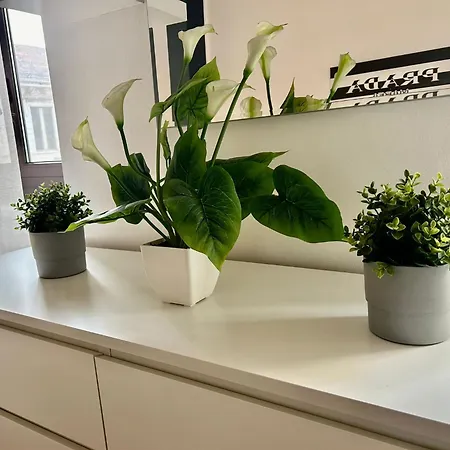 Santhry House Torino